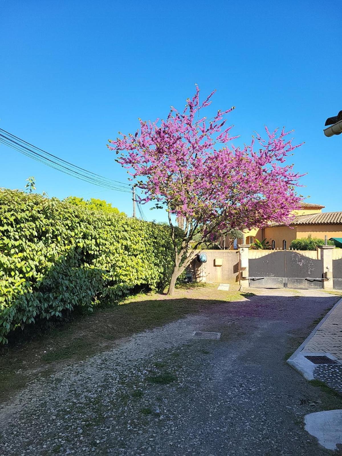 La Toscana Roquebrune Sur Argens Εξωτερικό φωτογραφία